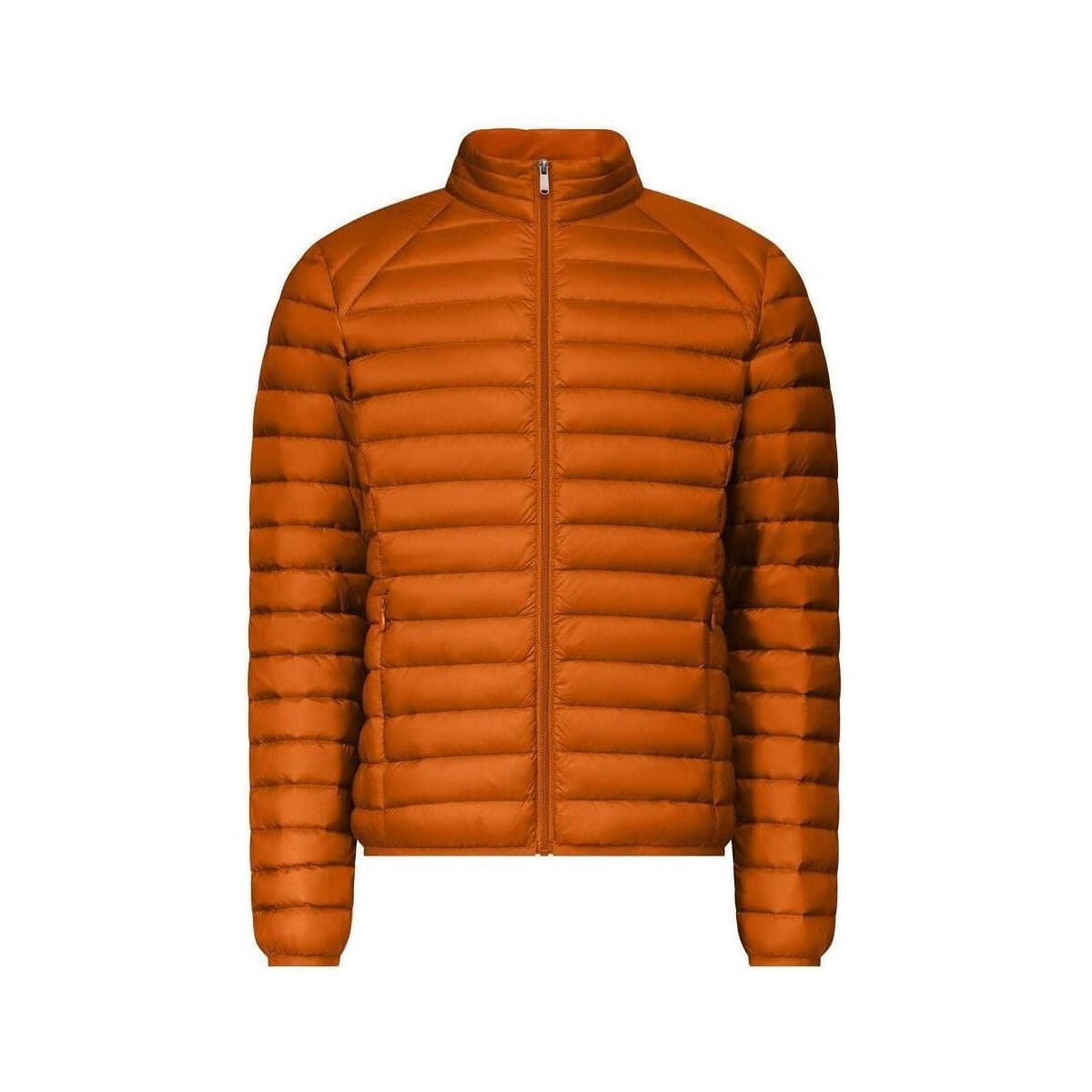 Σακάκια JOTT Chaquetas Hombre Modèle Mat