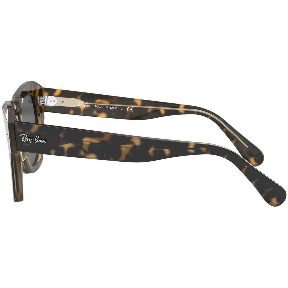 Women's Sunglasses Ray-ban Brown