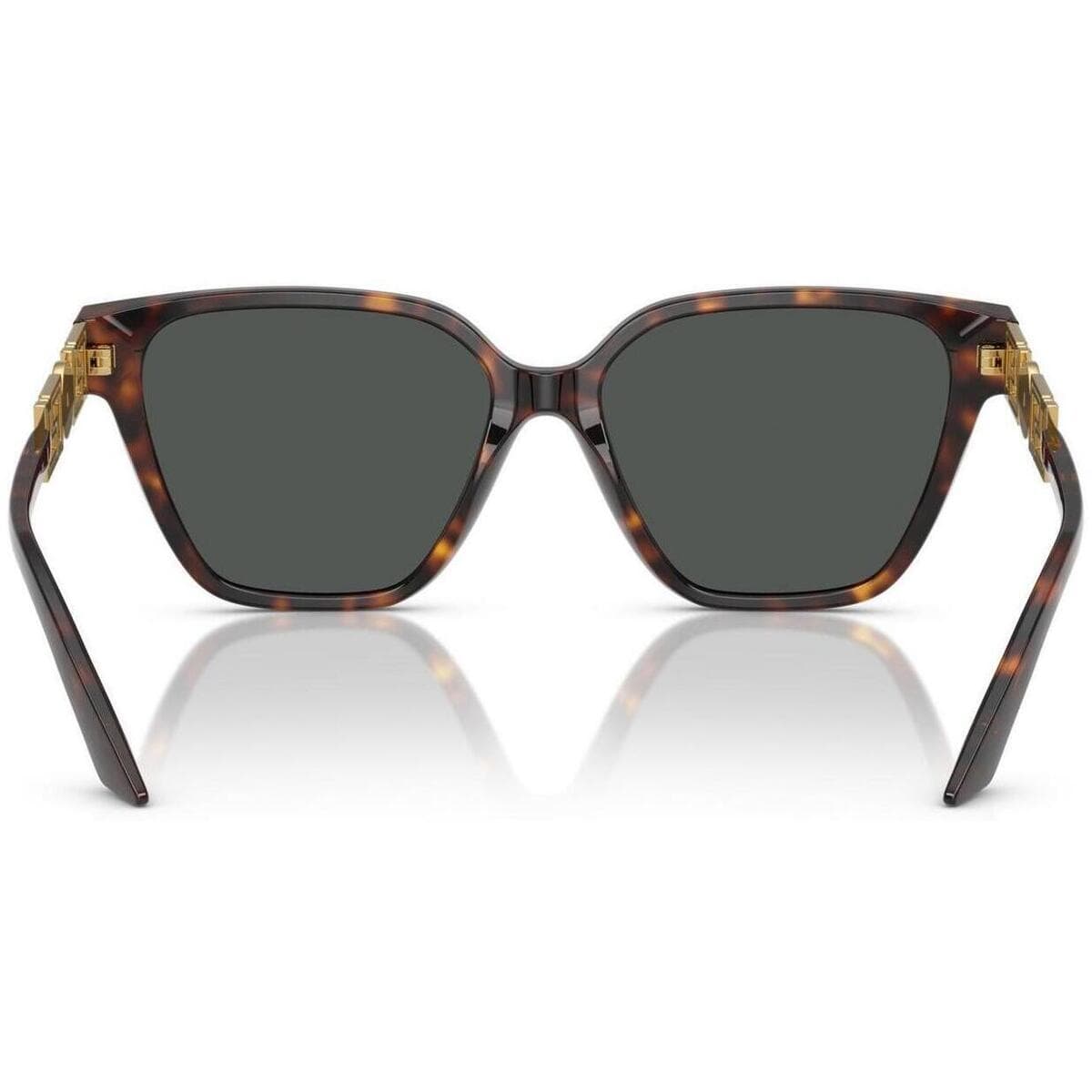 Women's Sunglasses Versace Brown