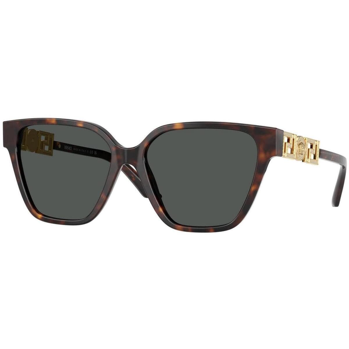 Women's Sunglasses Versace Brown