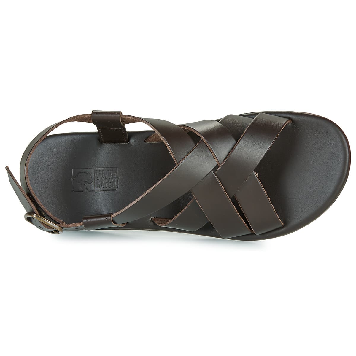 Men's Sandals Dream in Green Brown