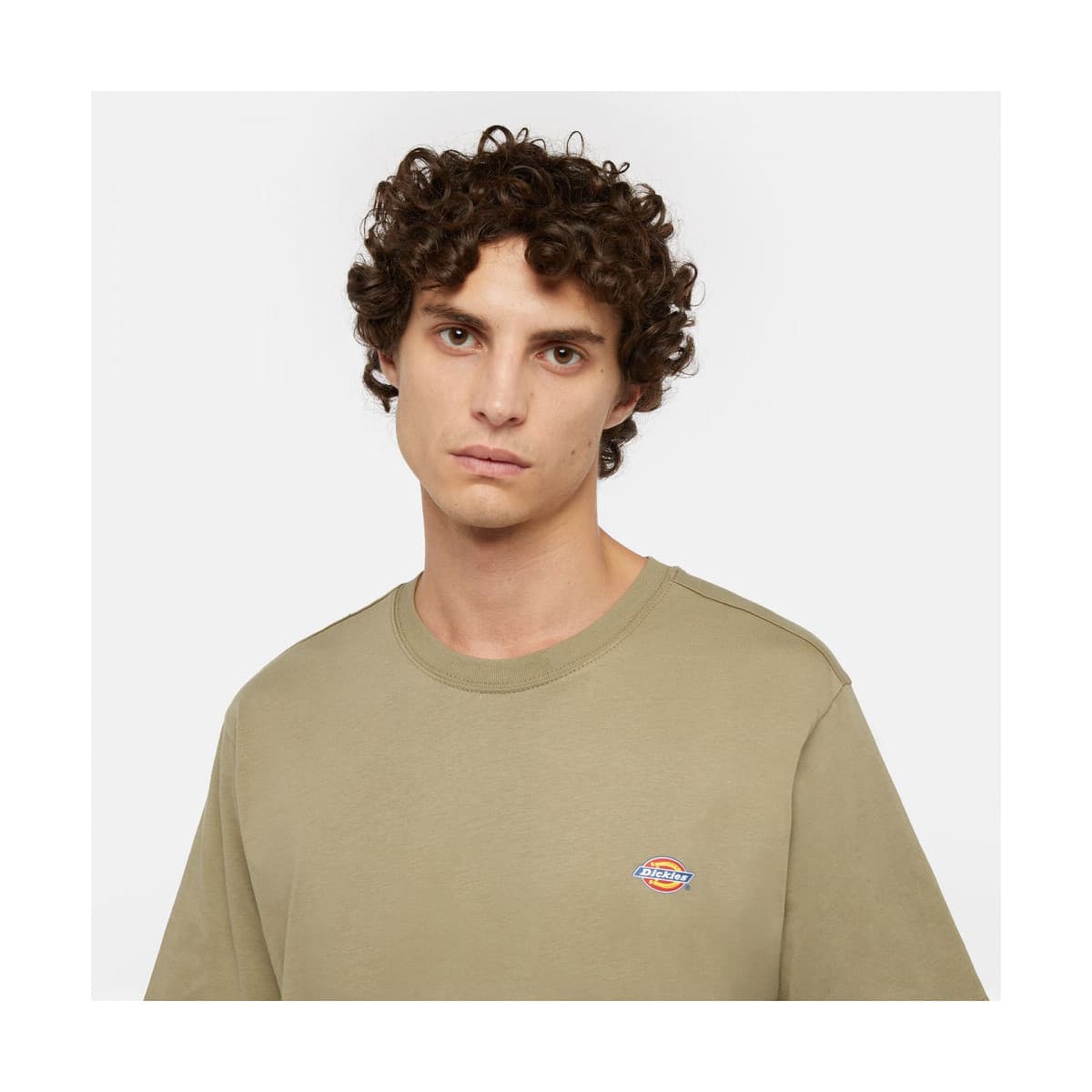 Men's T-Shirts Dickies Green
