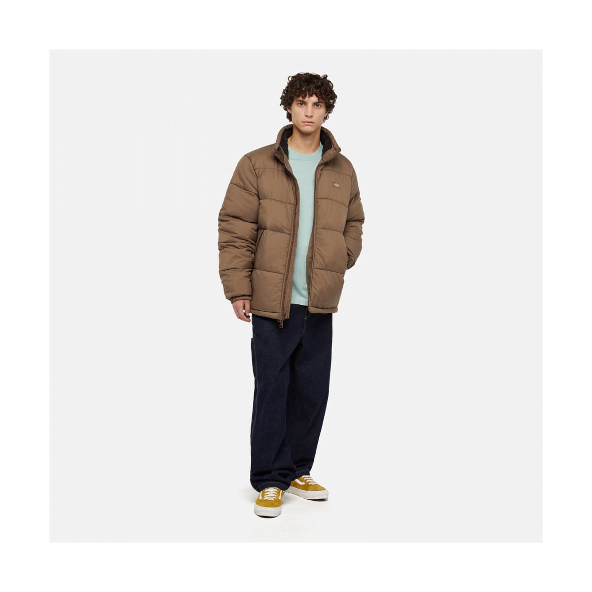 Men's Pants Dickies Blue