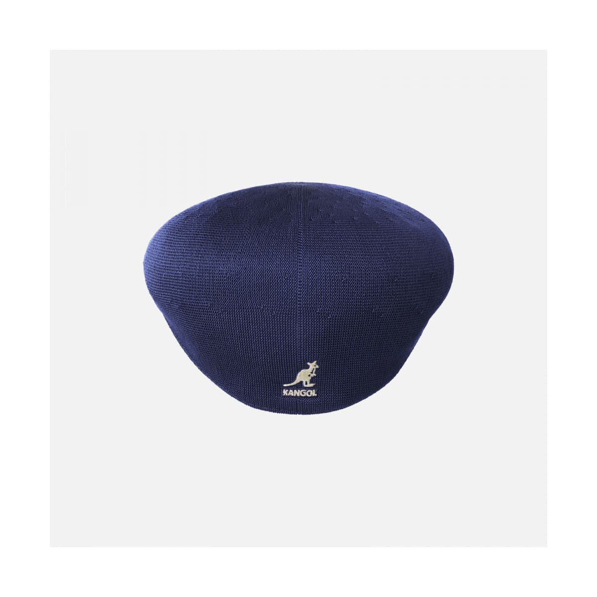 Women's Caps Kangol Blue