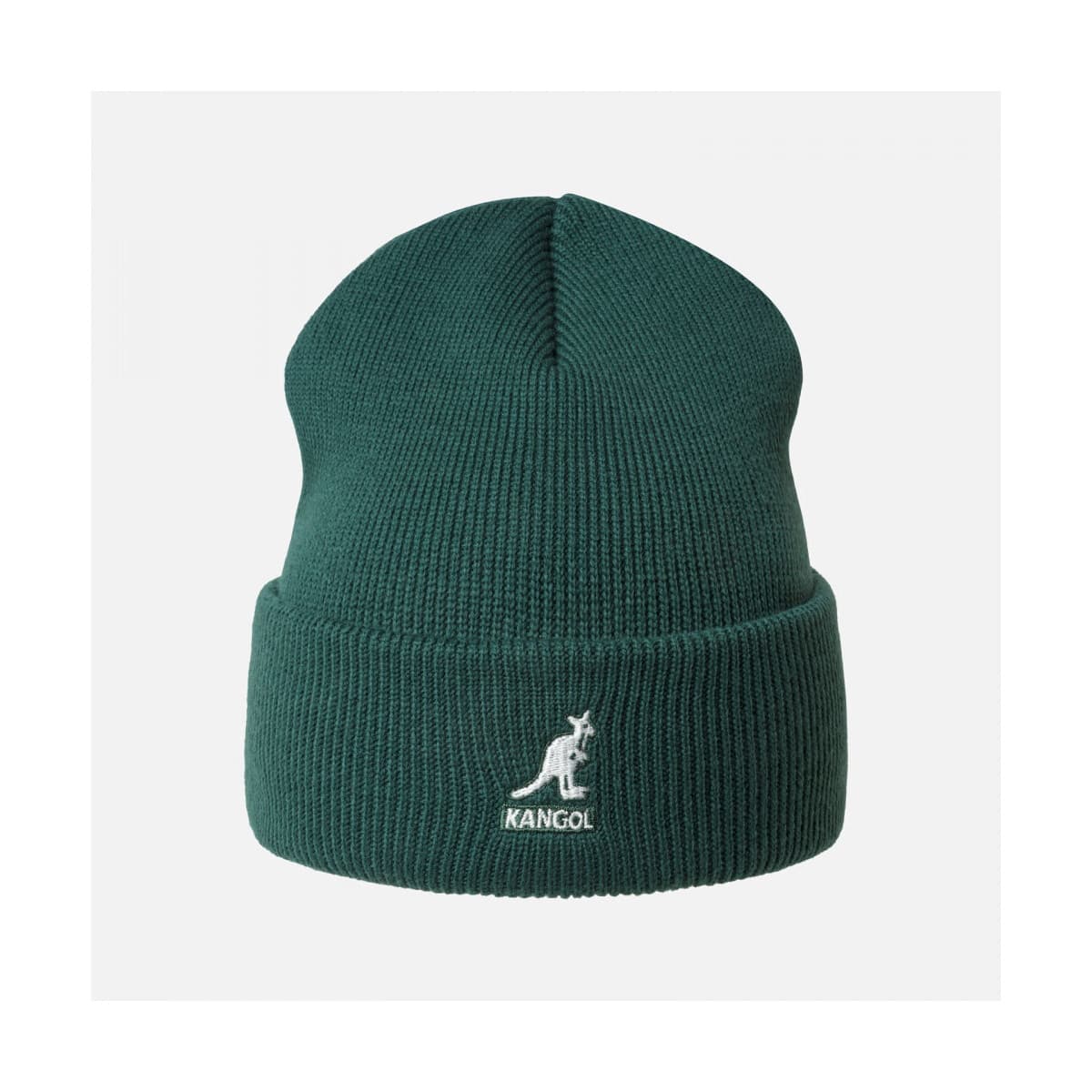 Men's Beanies Kangol Green