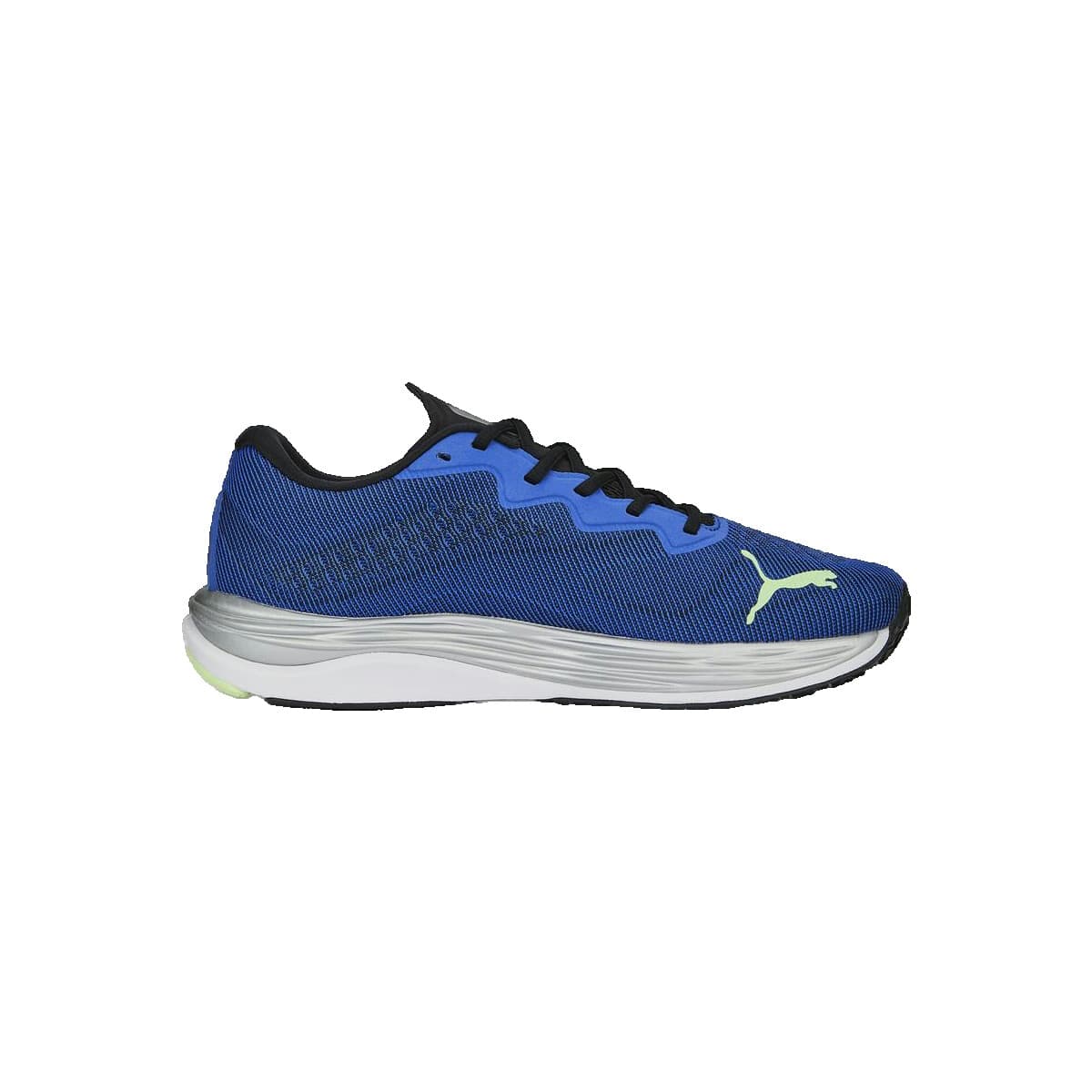 Men's Running Shoes Puma Blue