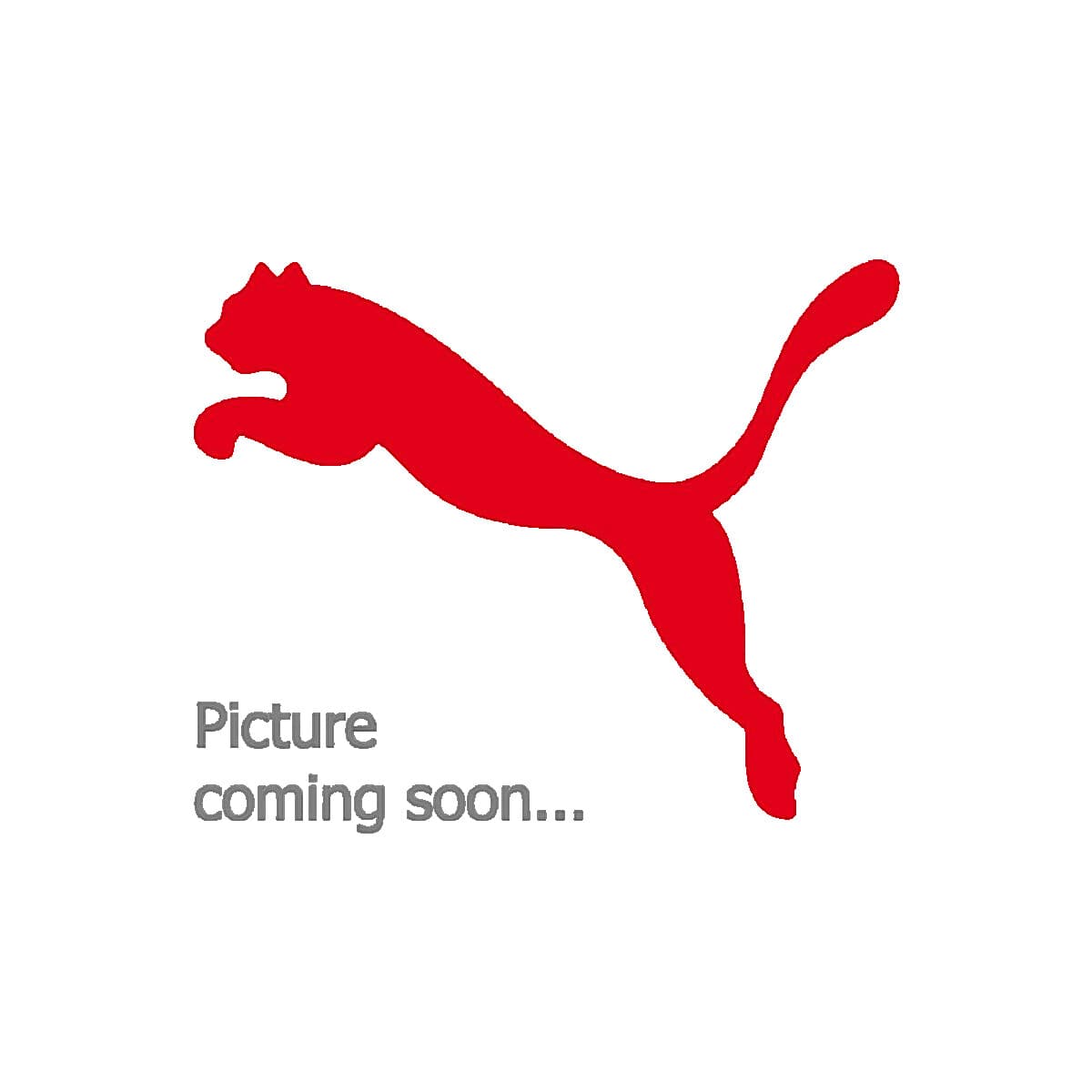 Men's Sandals Puma White