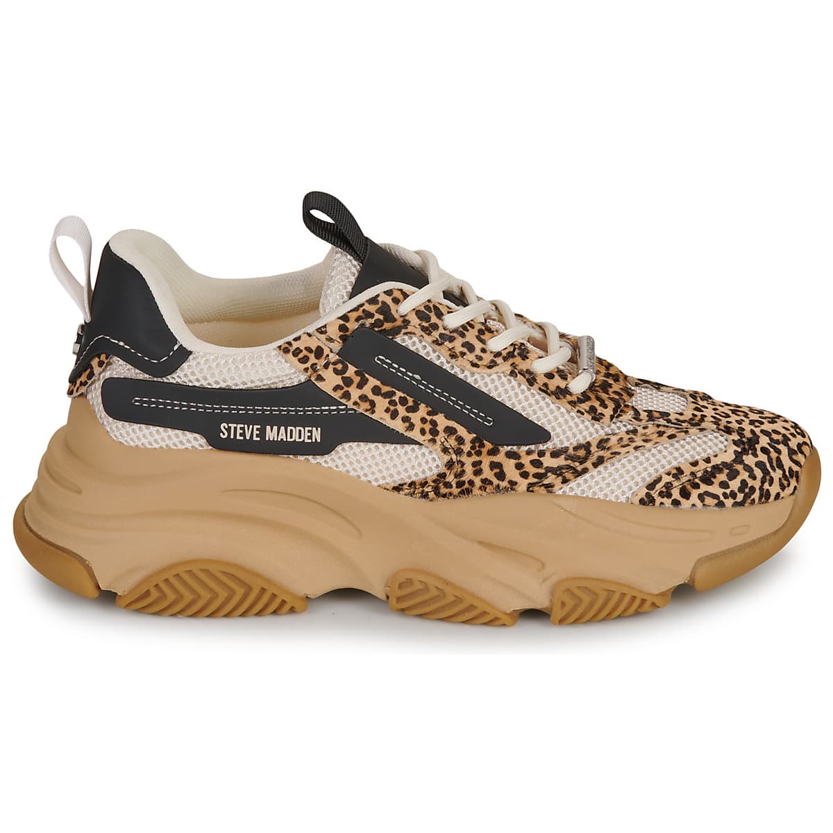Women's Sneakers Steve Madden Multicolor
