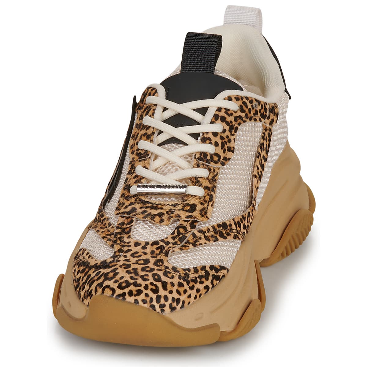 Women's Sneakers Steve Madden Multicolor