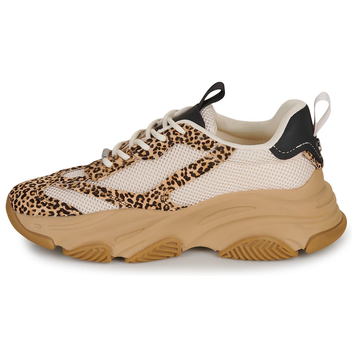 Women's Sneakers Steve Madden Multicolor