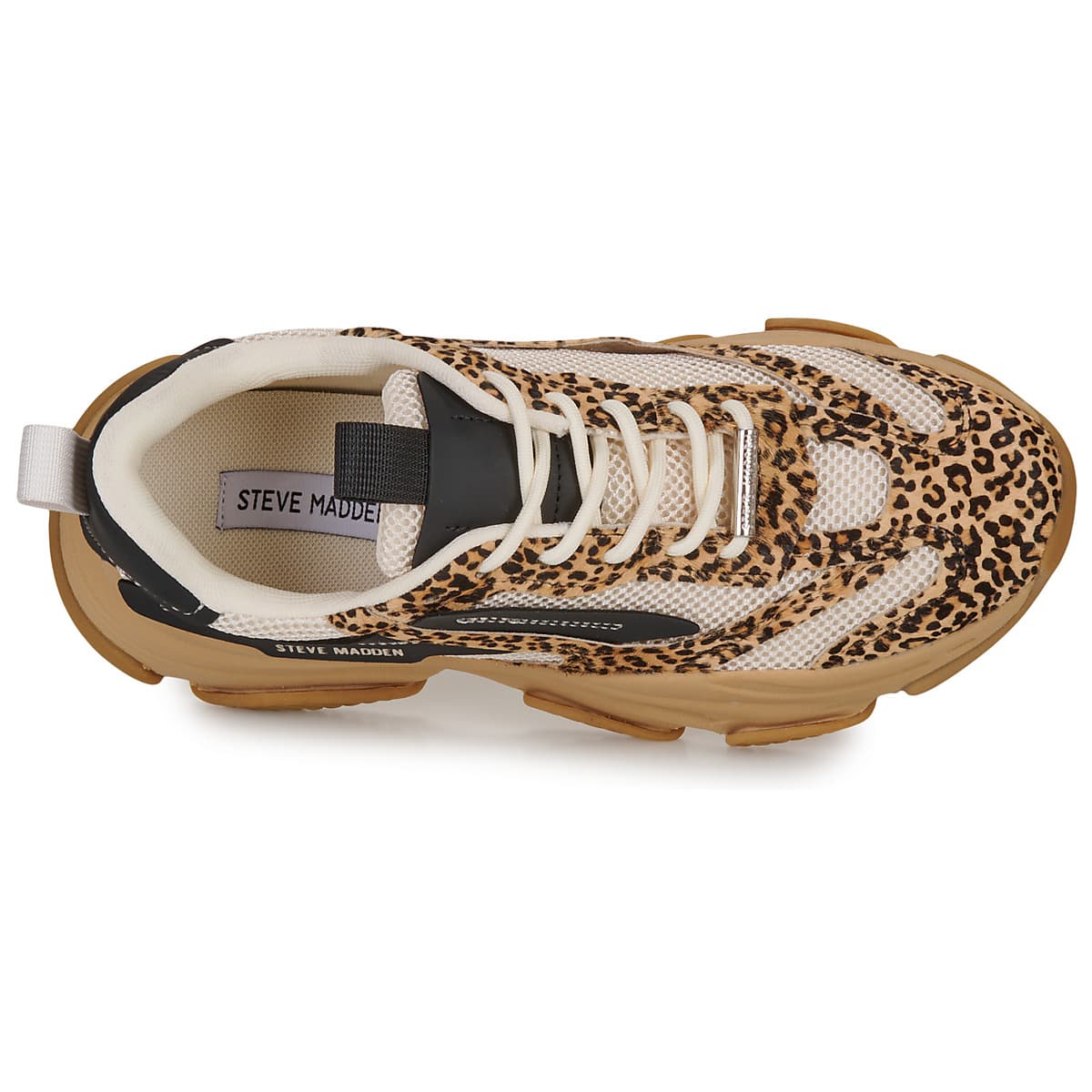 Women's Sneakers Steve Madden Multicolor
