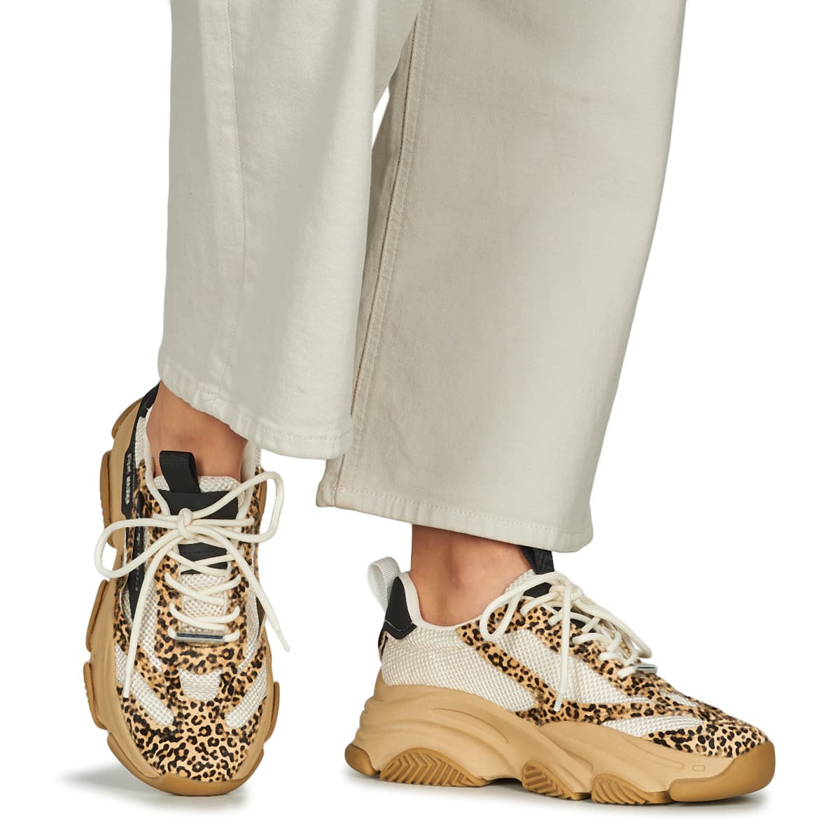 Women's Sneakers Steve Madden Multicolor