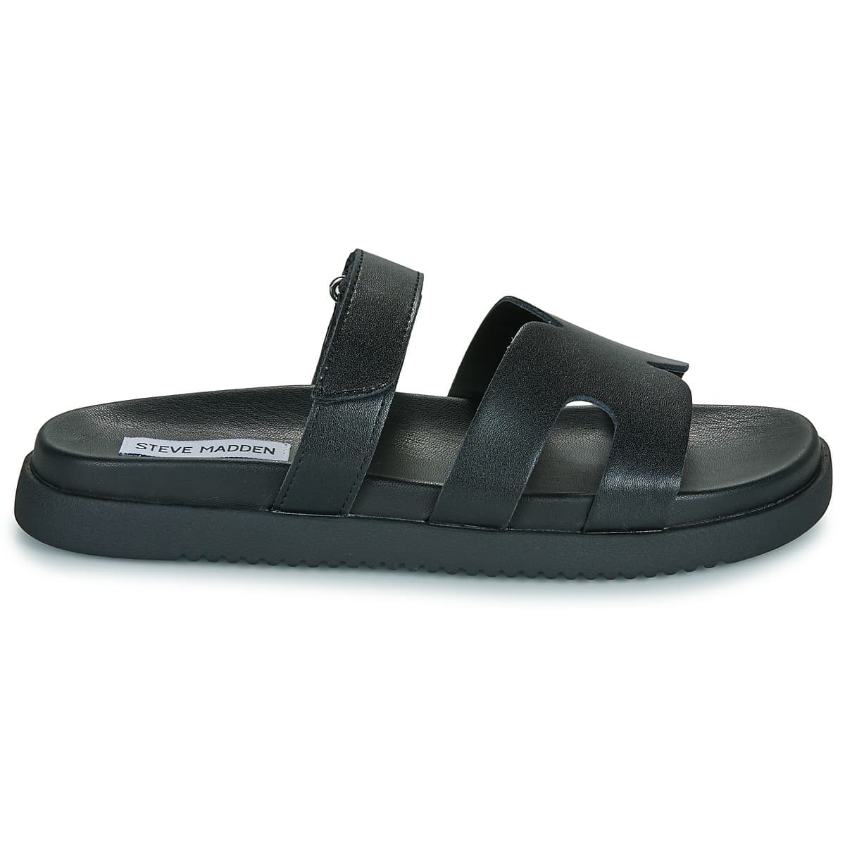 Women's Mules Steve Madden Black