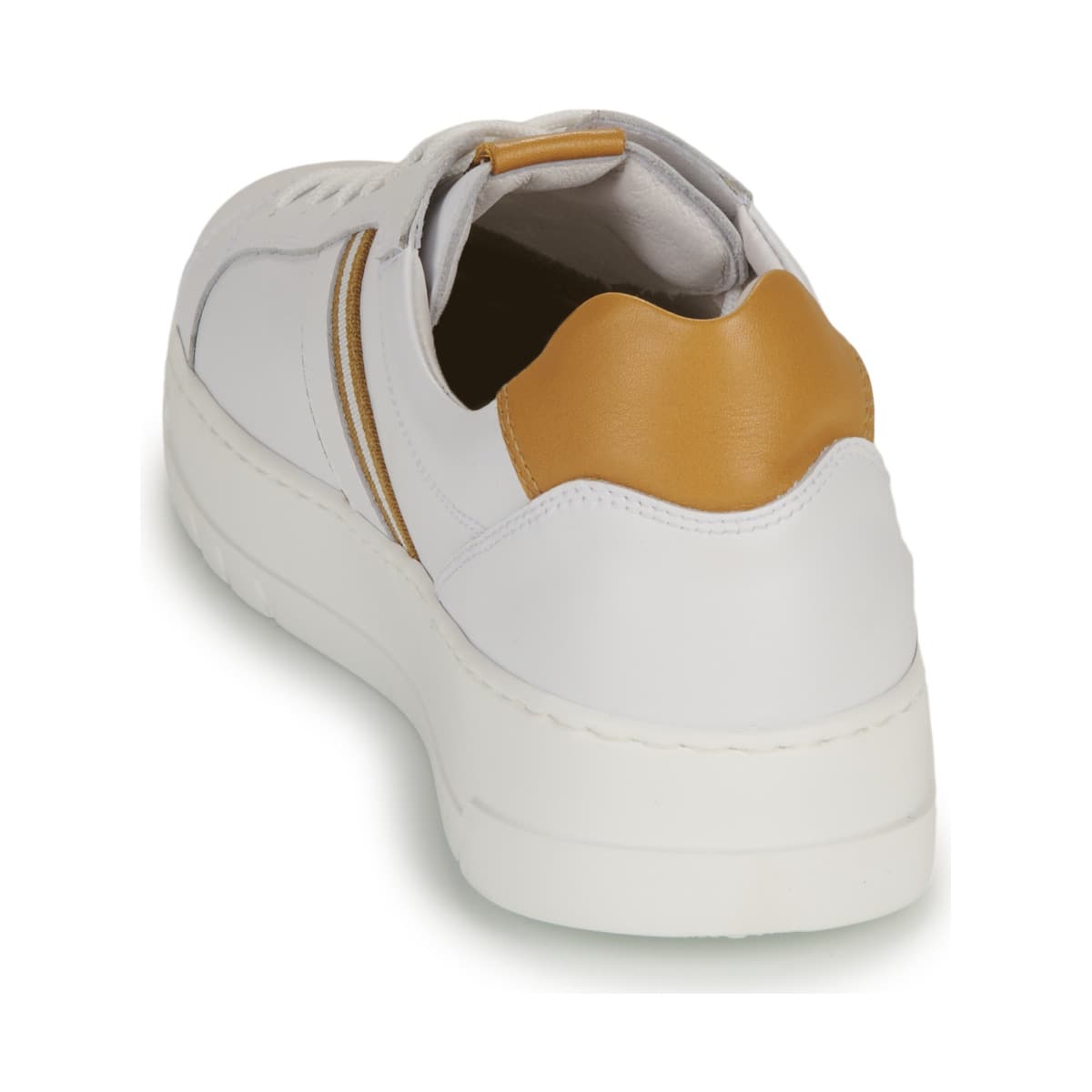 Men's Sneakers NeroGiardini White