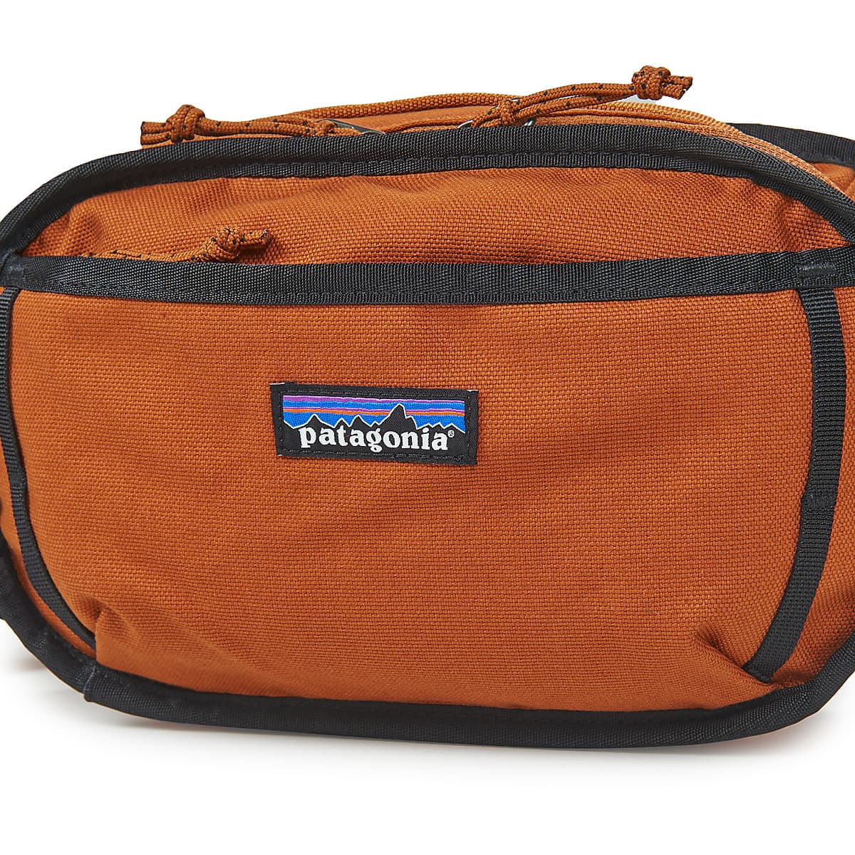Women's Belt Bags Patagonia Brown
