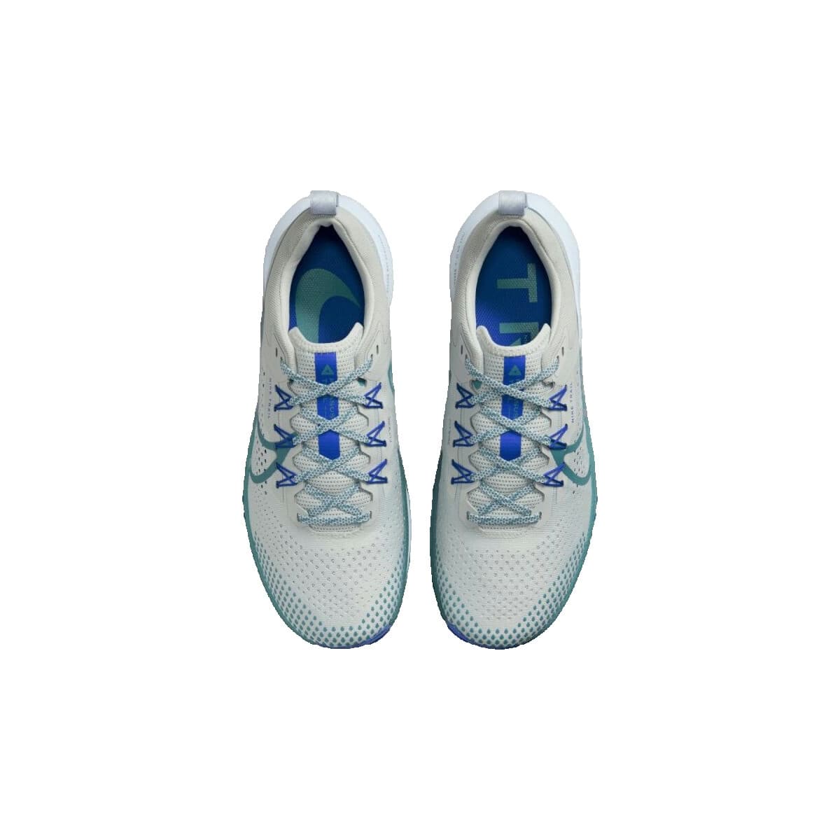 Men's Running Shoes Nike Gray