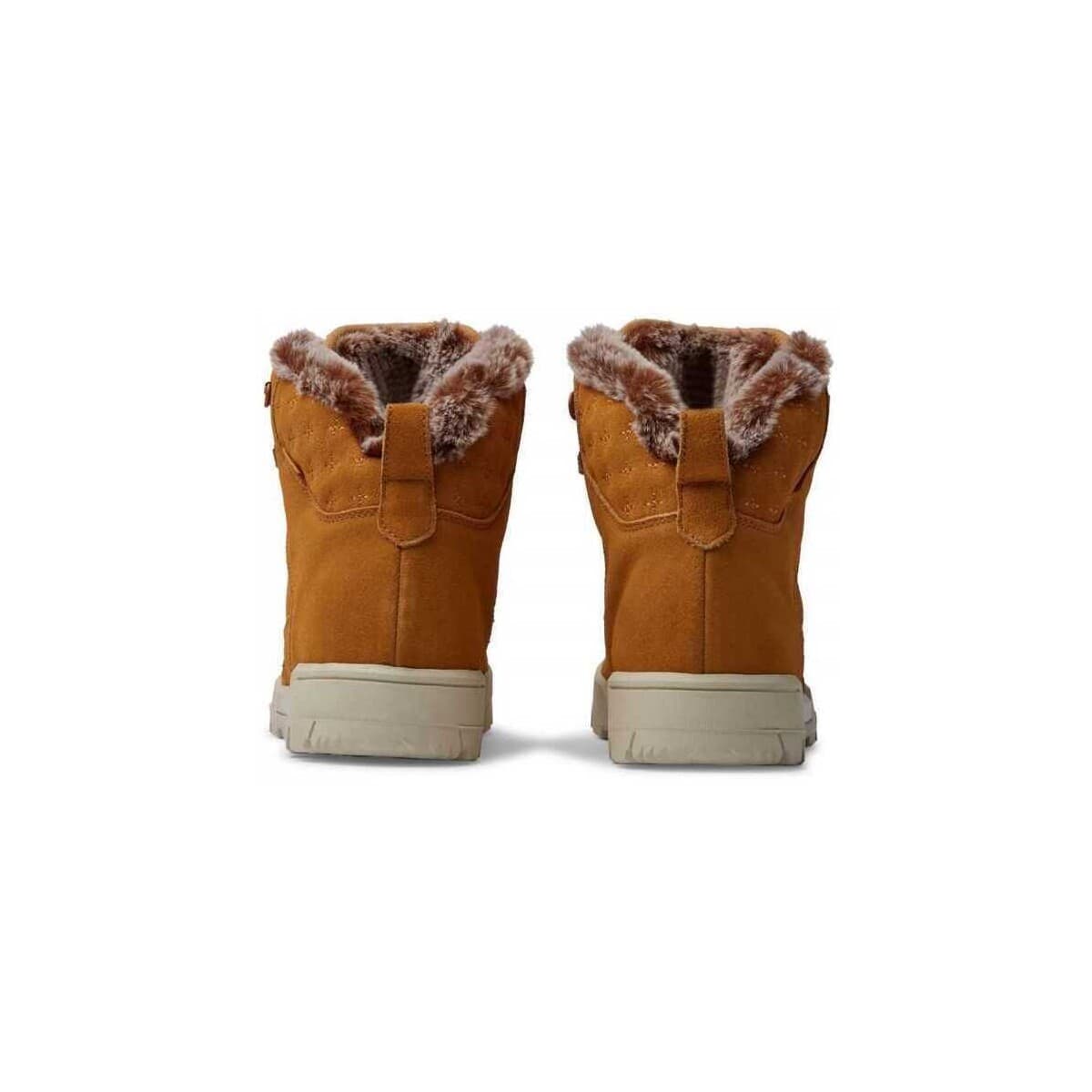 Women's Sneakers DC Shoes Brown