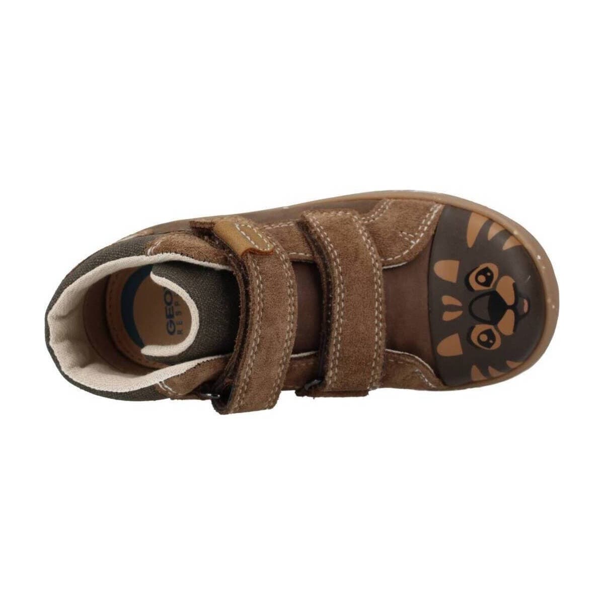 Boys' Sneakers Geox Brown