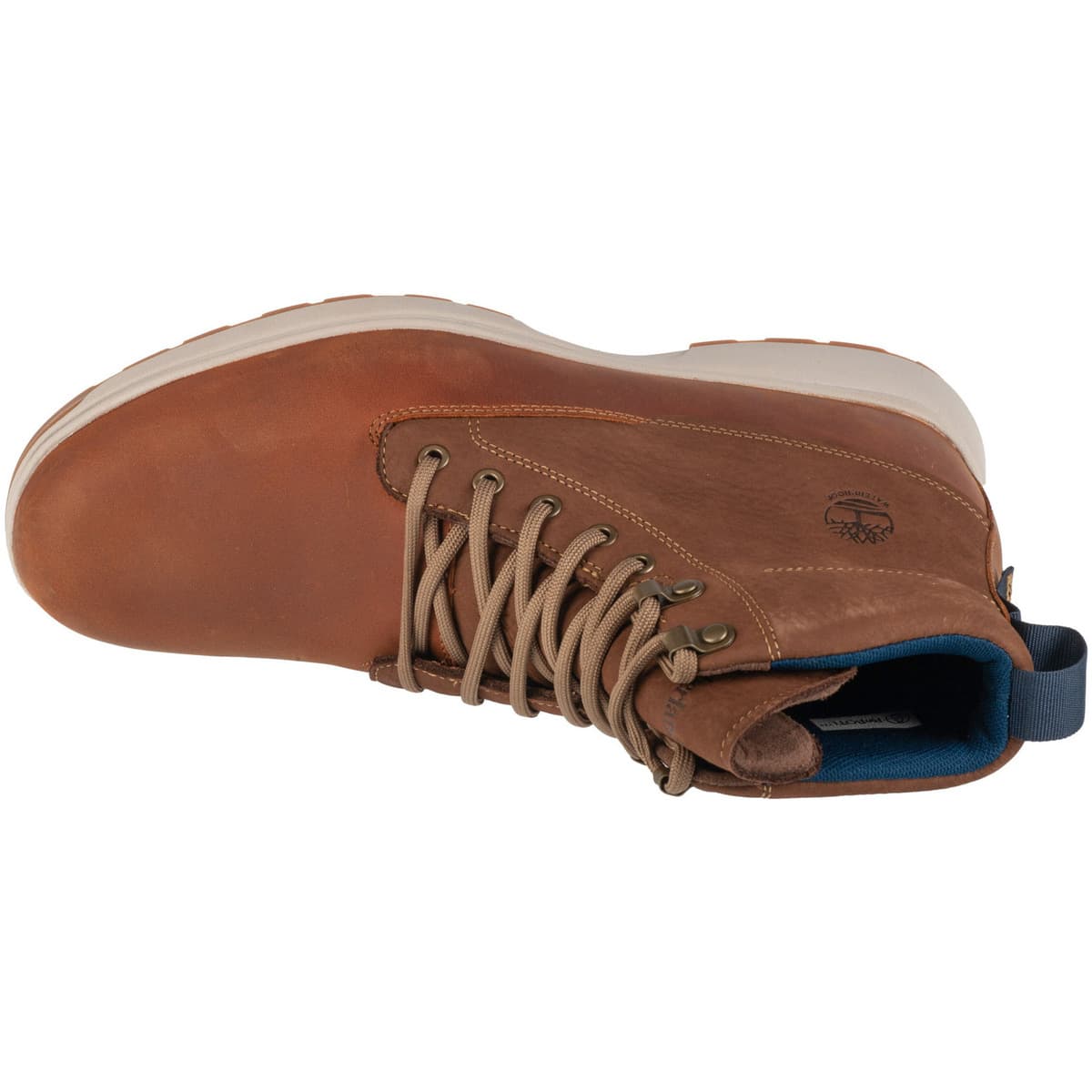 Men's Outdoor Shoes Timberland Brown