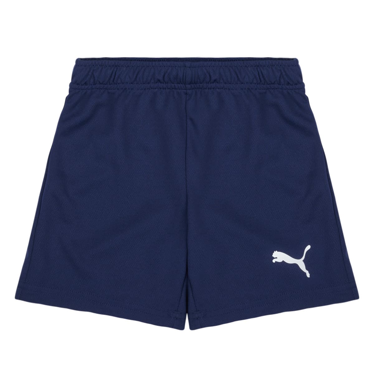 Shorts & Βερμούδες Puma TEAMRISE SHORT