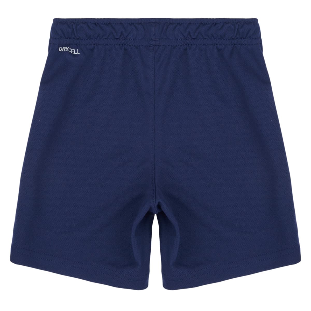 Boys' Shorts Puma Blue