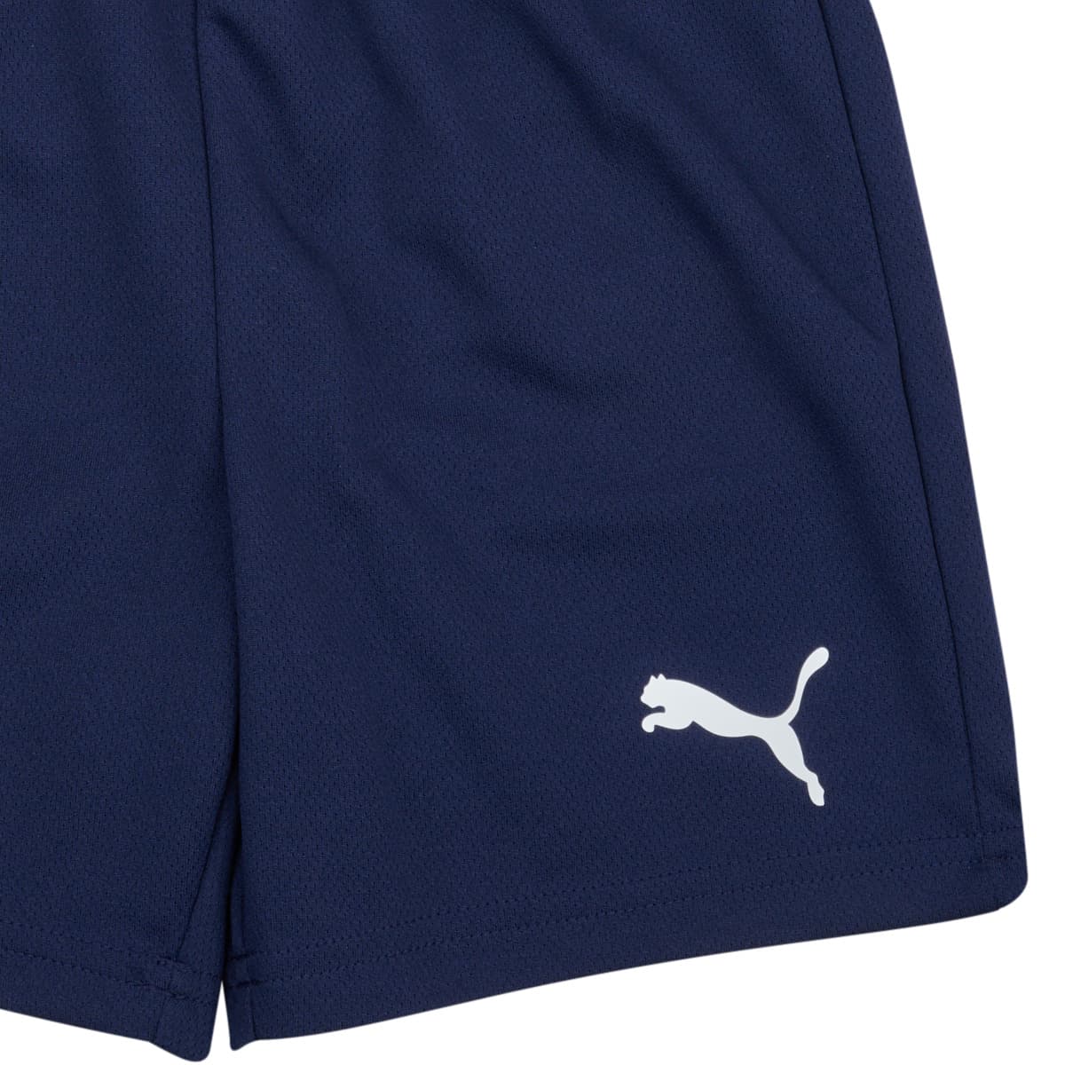 Boys' Shorts Puma Blue