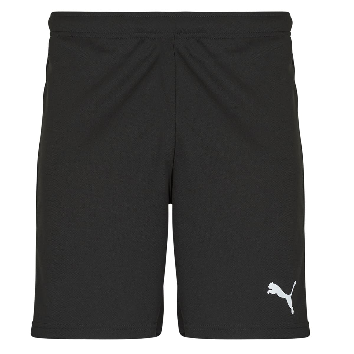 Men's Shorts Puma Blue