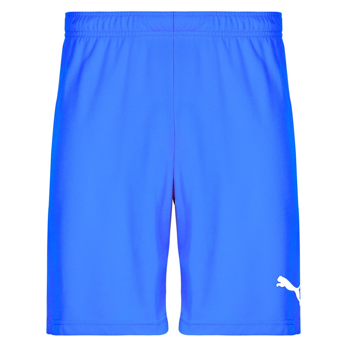 Men's Shorts Puma Blue