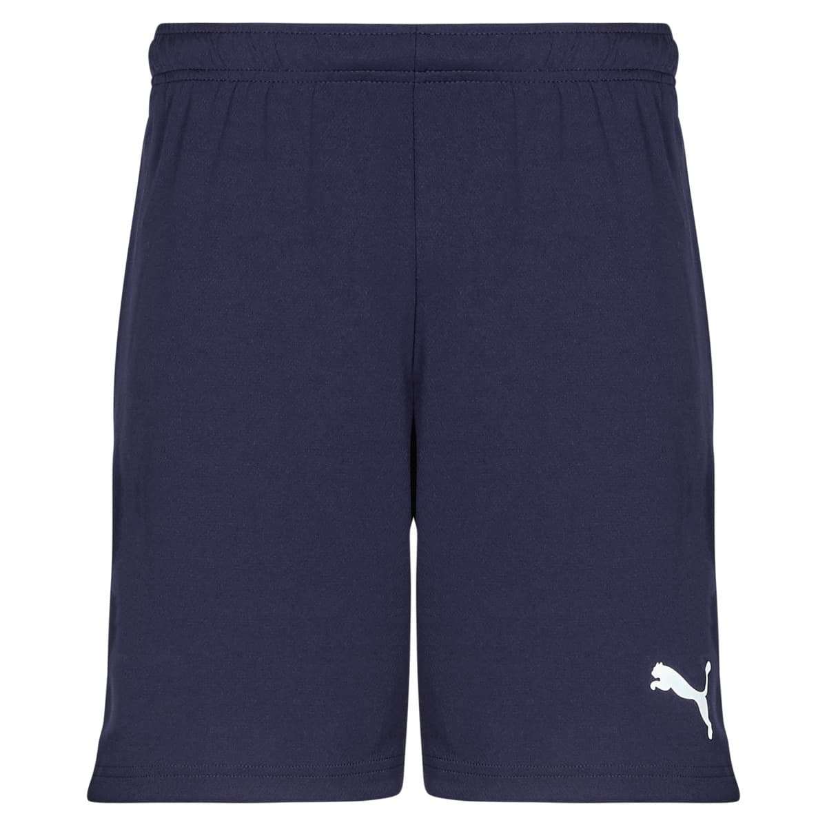 Men's Shorts Puma Blue