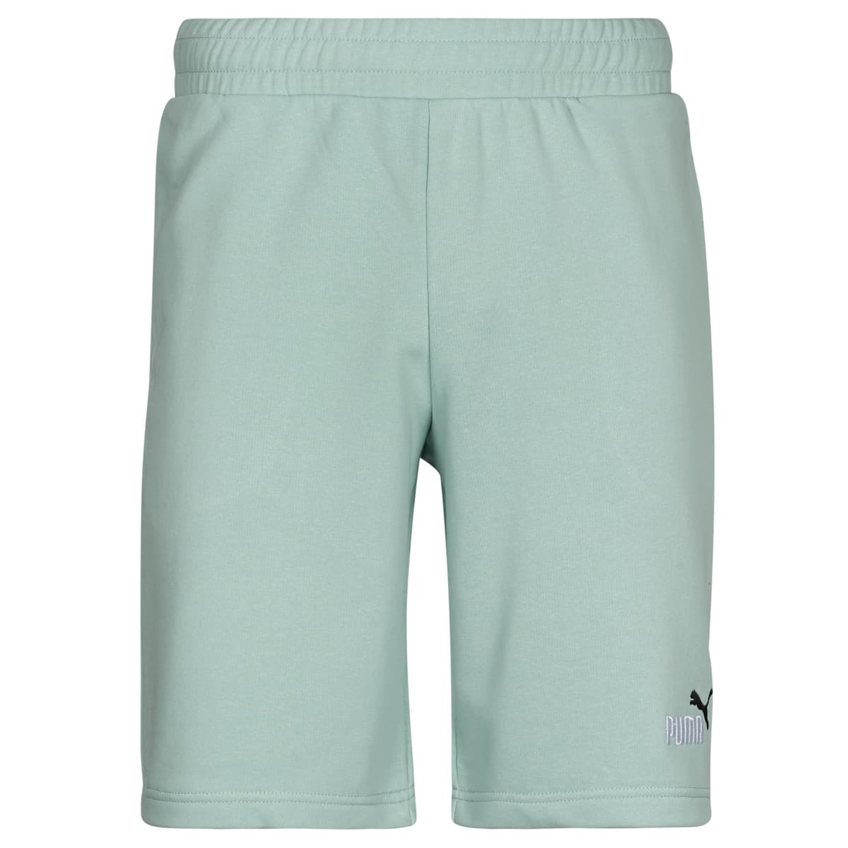 Men's Shorts Puma Green