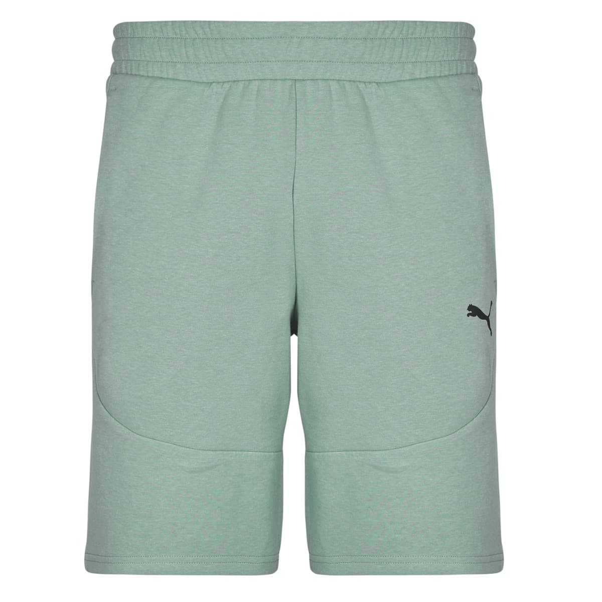 Men's Shorts Puma Blue