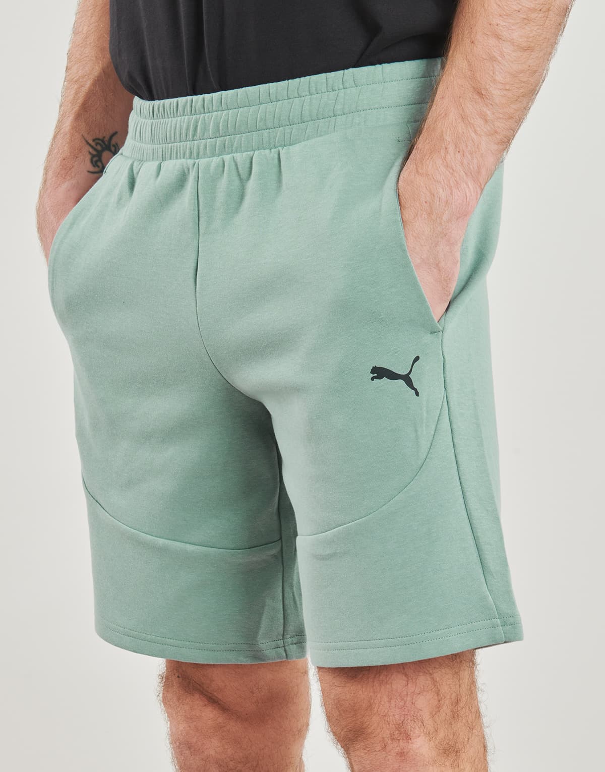 Men's Shorts Puma Blue