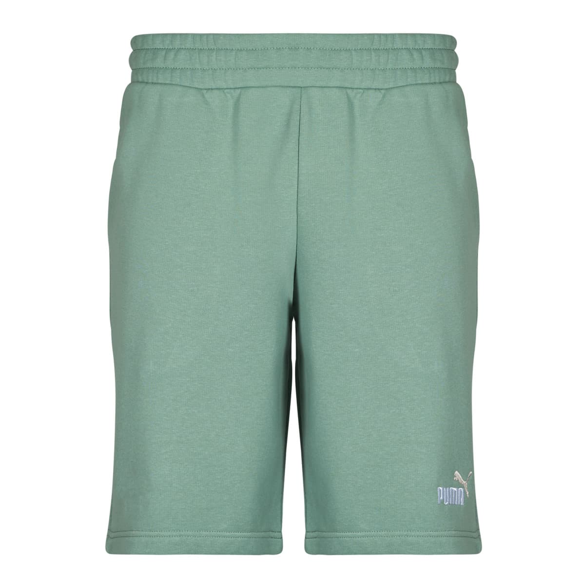 Men's Shorts Puma Green