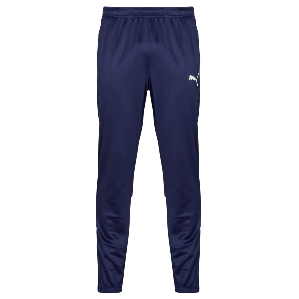 Men's Tracksuits Puma Blue
