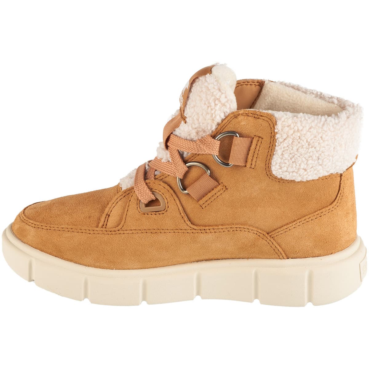 Women's Boots Sorel Brown