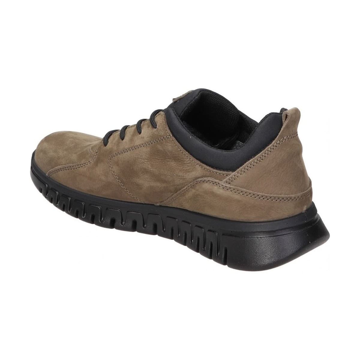 Men's Dress Shoes IgI&CO Brown