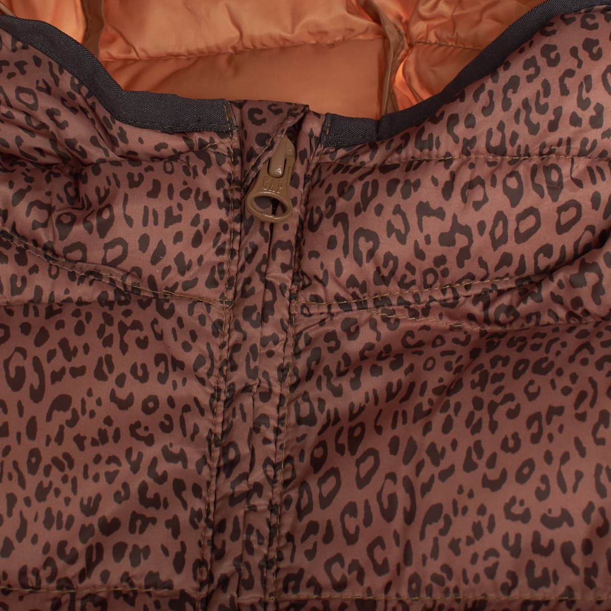 Girls' Blazers Gap Multicolor