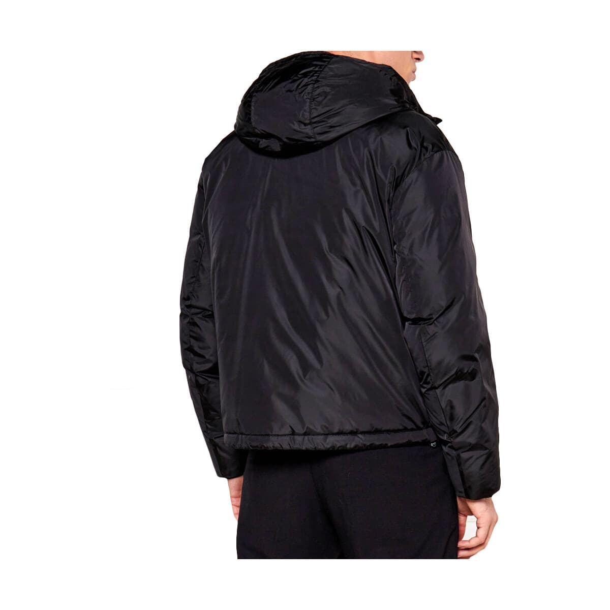 Men's Jackets EAX Multicolor