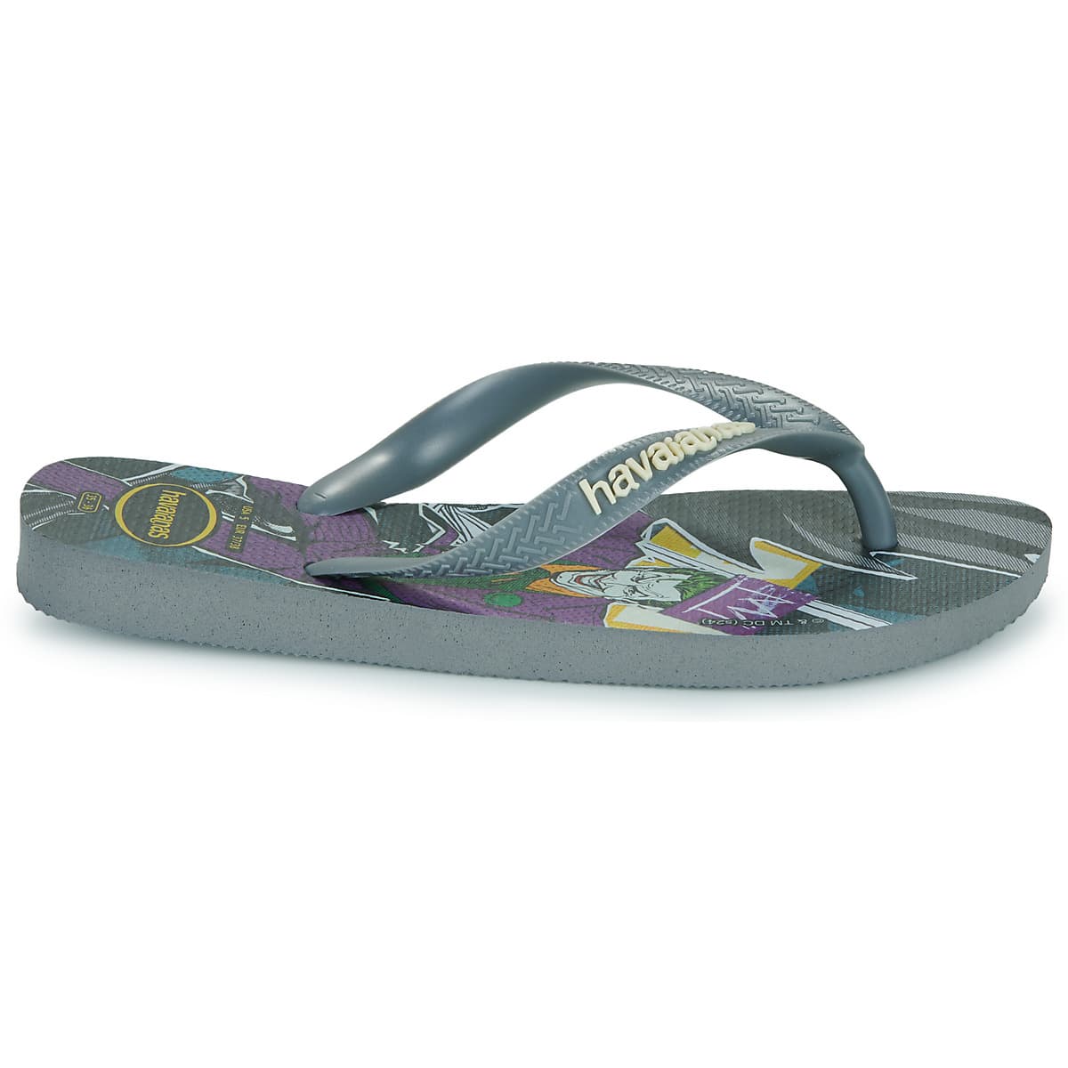 Boys' Flip Flops Havaianas Gray