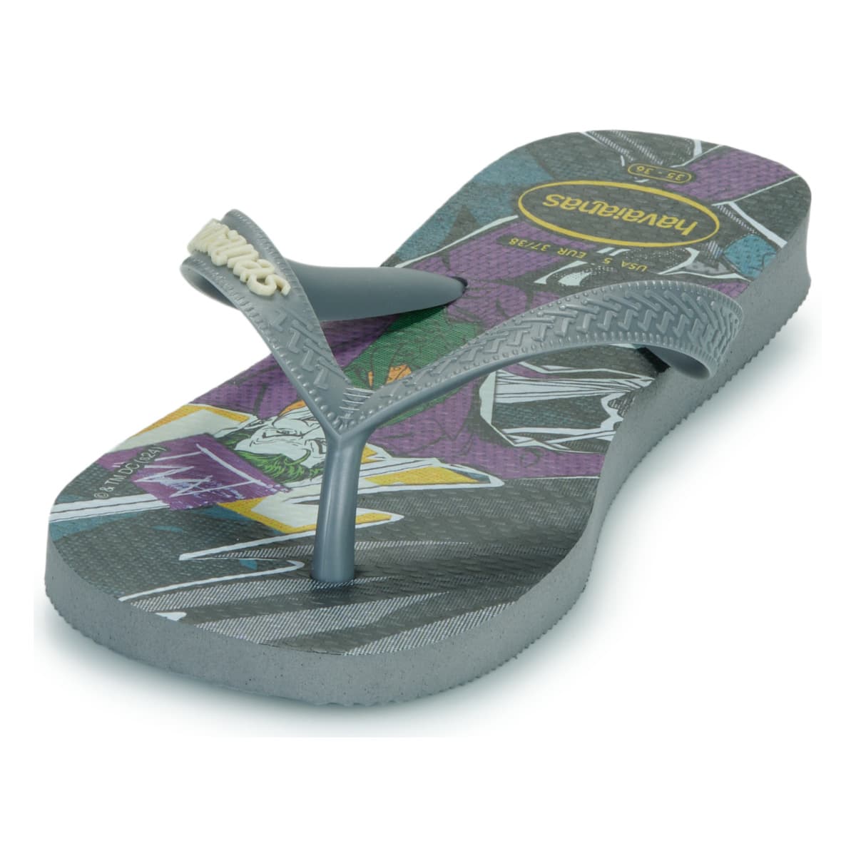 Boys' Flip Flops Havaianas Gray