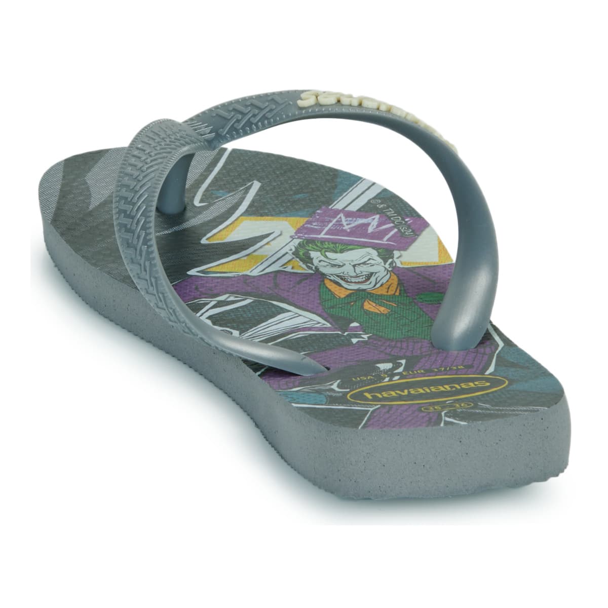 Boys' Flip Flops Havaianas Gray