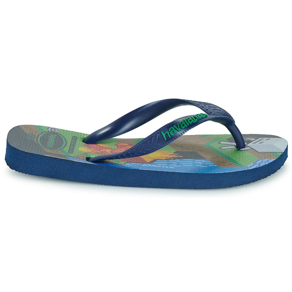 Boys' Flip Flops Havaianas Blue