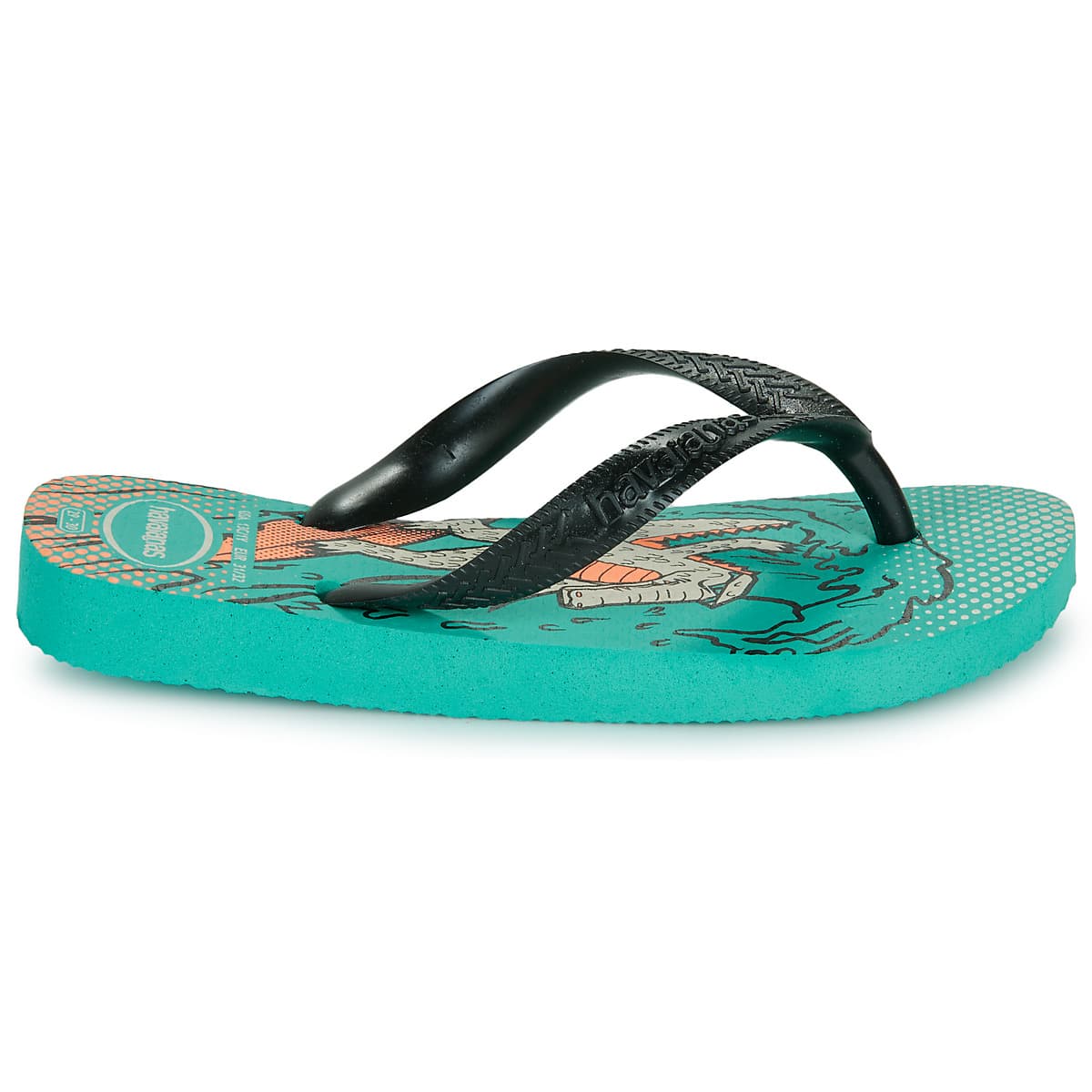 Boys' Flip Flops Havaianas Blue