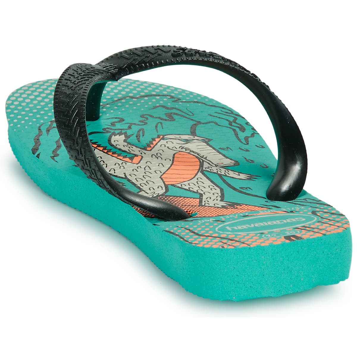 Boys' Flip Flops Havaianas Blue