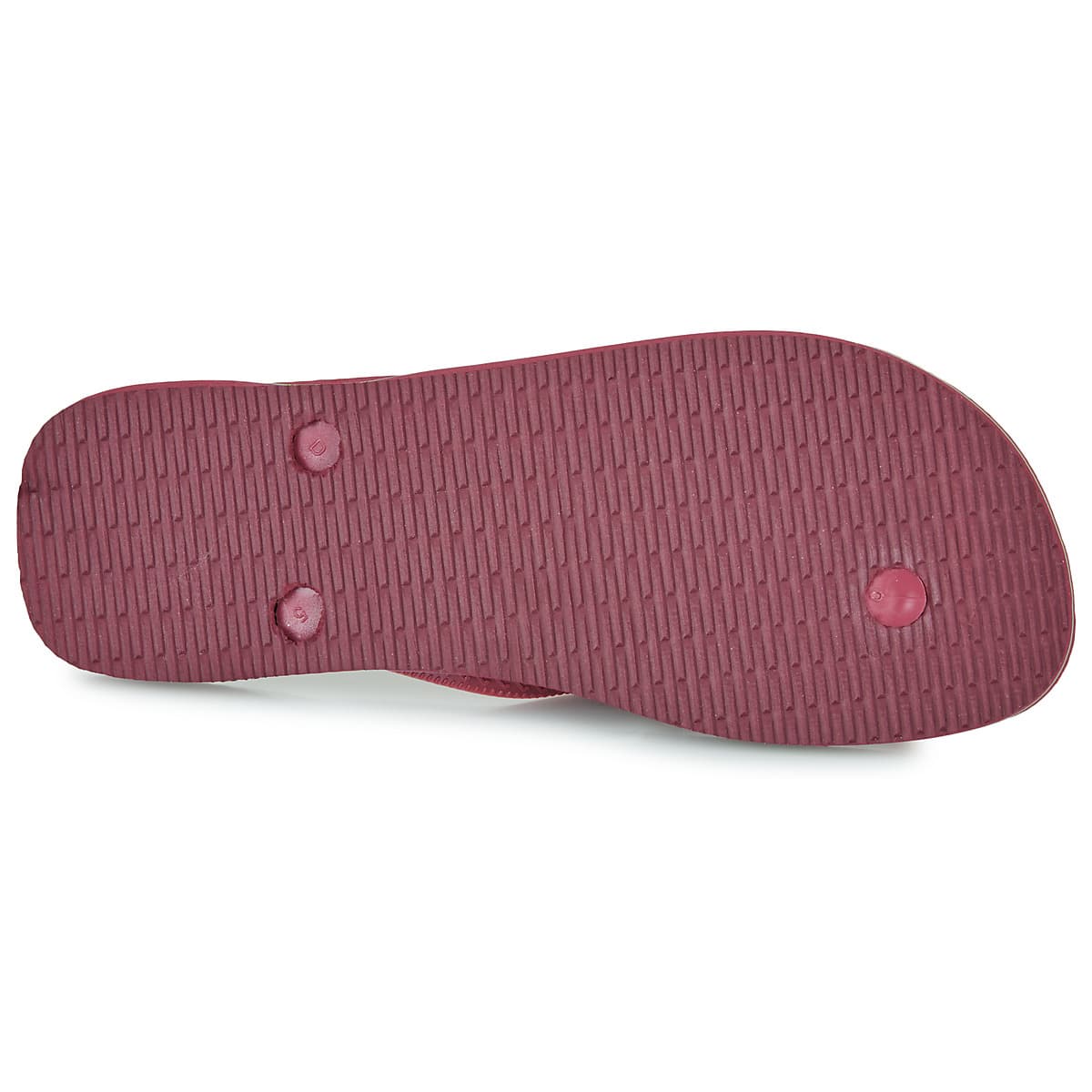 Women's Flip Flops Havaianas Purple