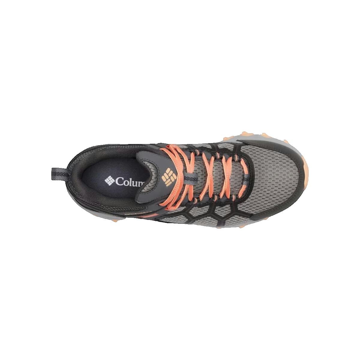 Women's Sneakers Columbia Gray