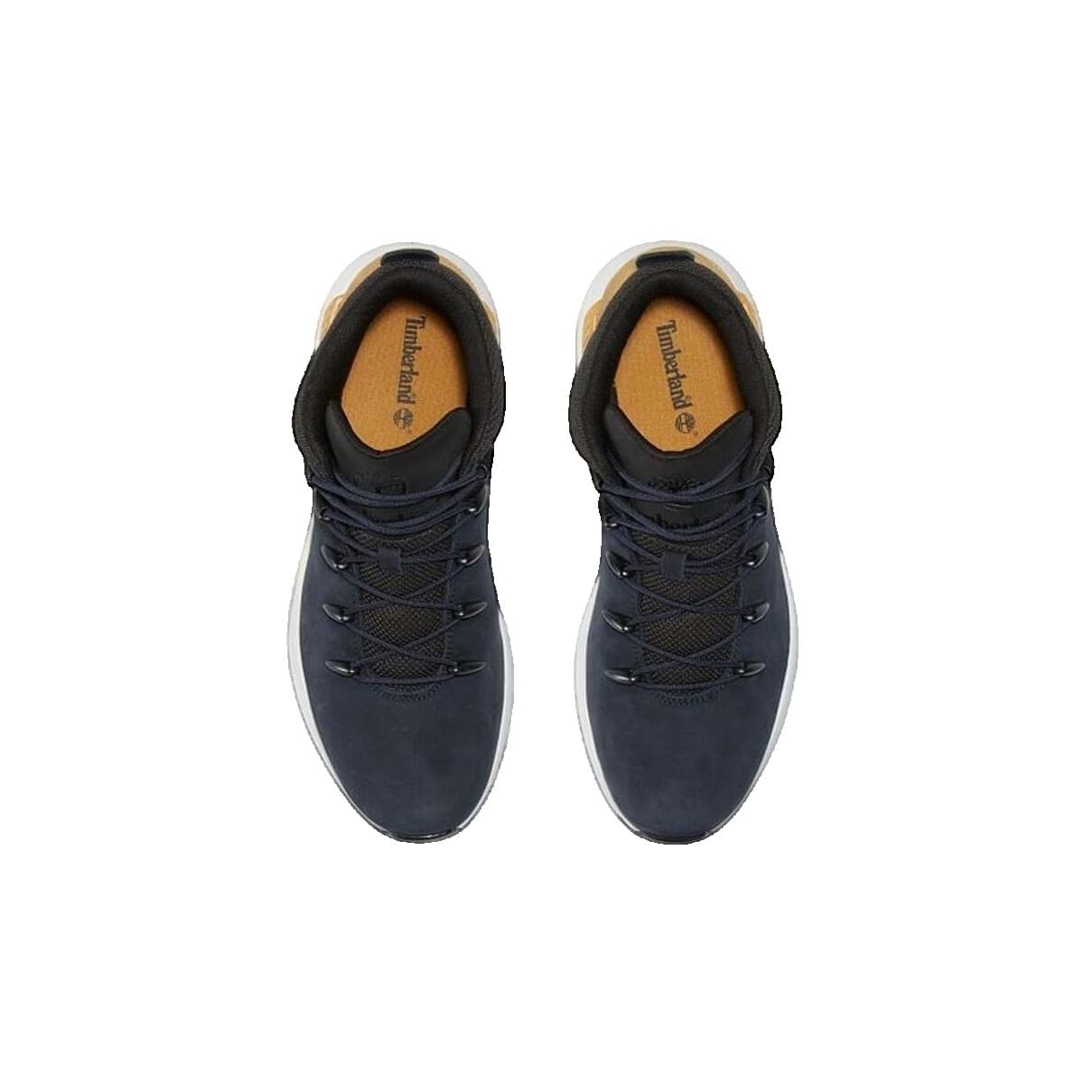 Men's Outdoor Shoes Timberland Blue