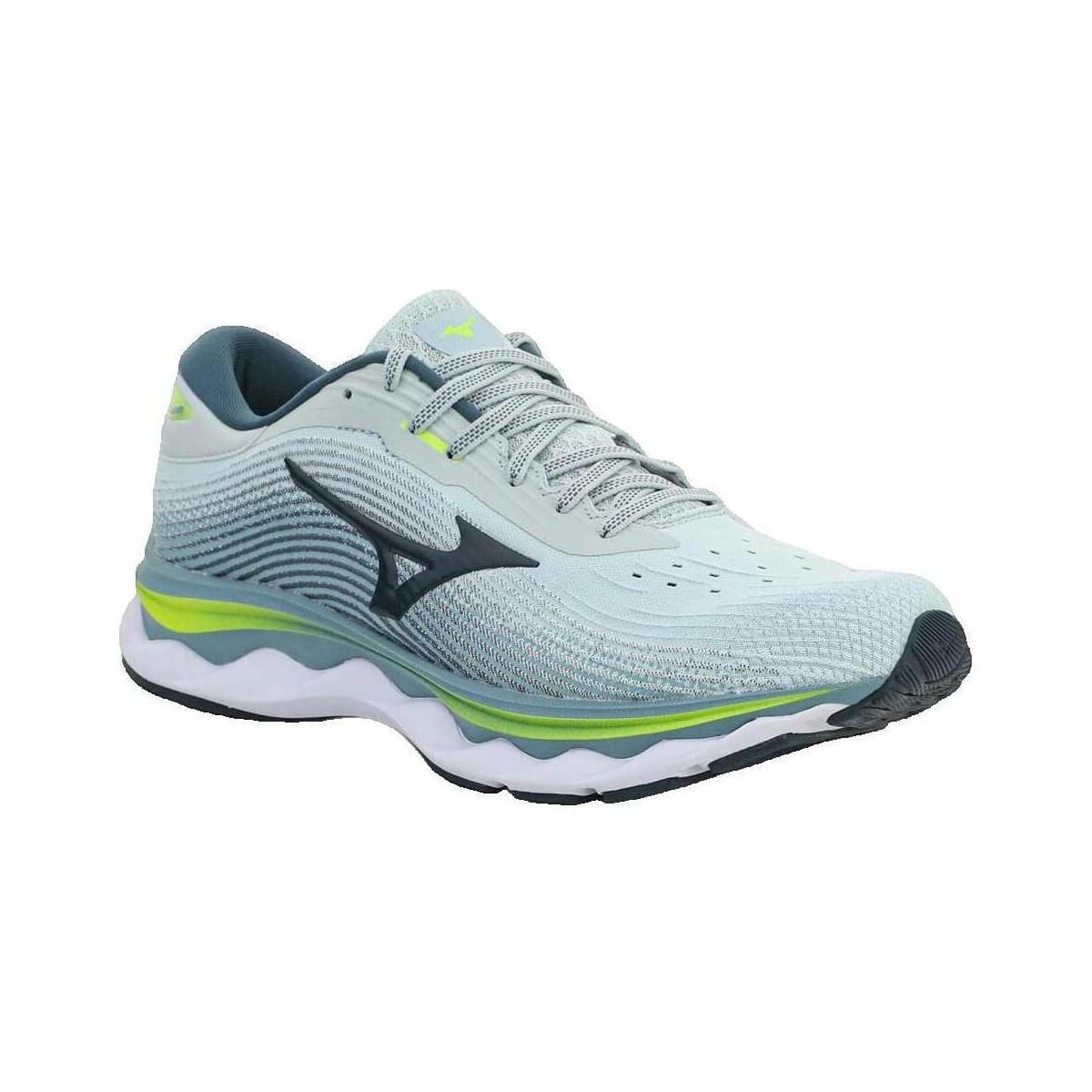 Men's Running Shoes Mizuno Gray