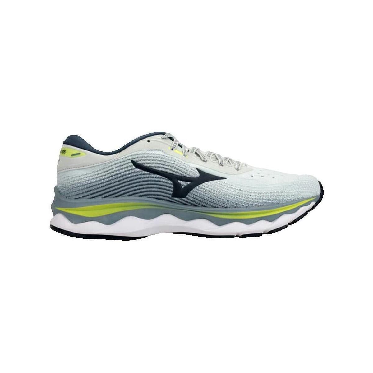 Men's Running Shoes Mizuno Gray
