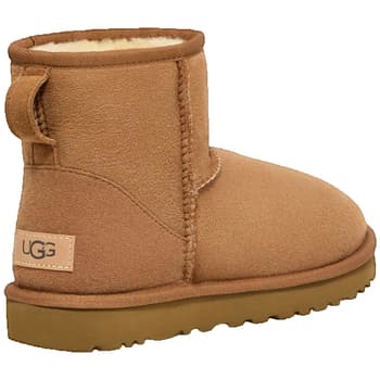 Women's Boots UGG Brown